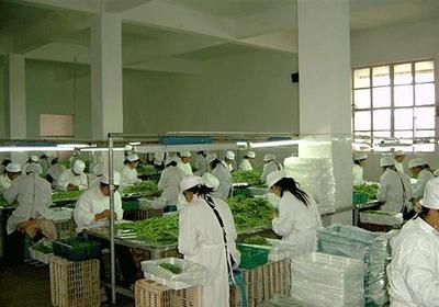 農(nóng)產(chǎn)品加工廠屬于什么行業(yè)?農(nóng)產(chǎn)品加工行業(yè)的創(chuàng)業(yè)機(jī)會(huì)與好處一覽